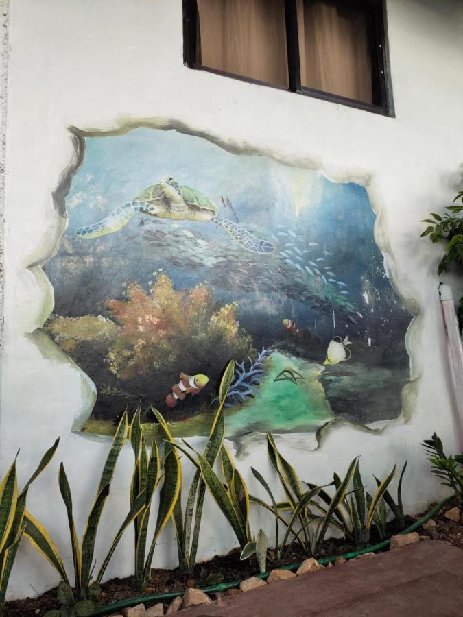 Purple Homestay Hillside Coron Esterno foto