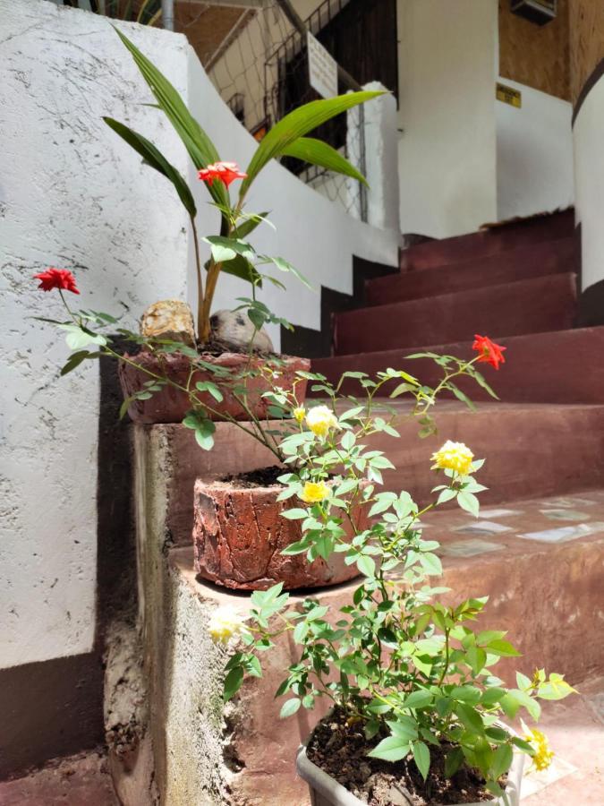 Purple Homestay Hillside Coron Esterno foto