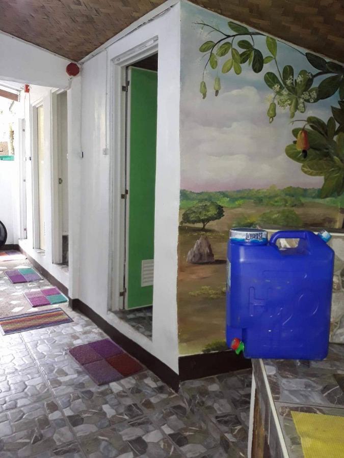 Purple Homestay Hillside Coron Esterno foto